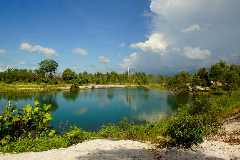 Kondisi awal bekas tambang timah sebelum direklamasi