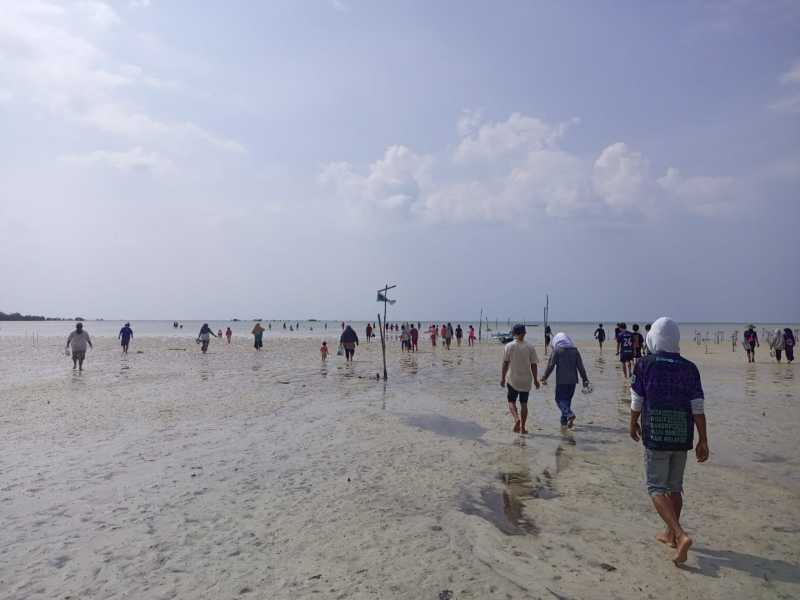 Aktifitas wisata mencari keremis di pantai Desa Wisata Kreatif Terong