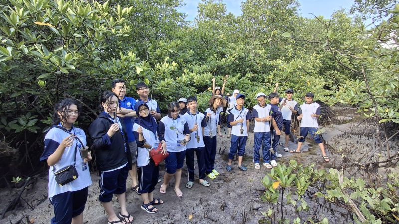 Wisata Edukasi Tanam Mangrove