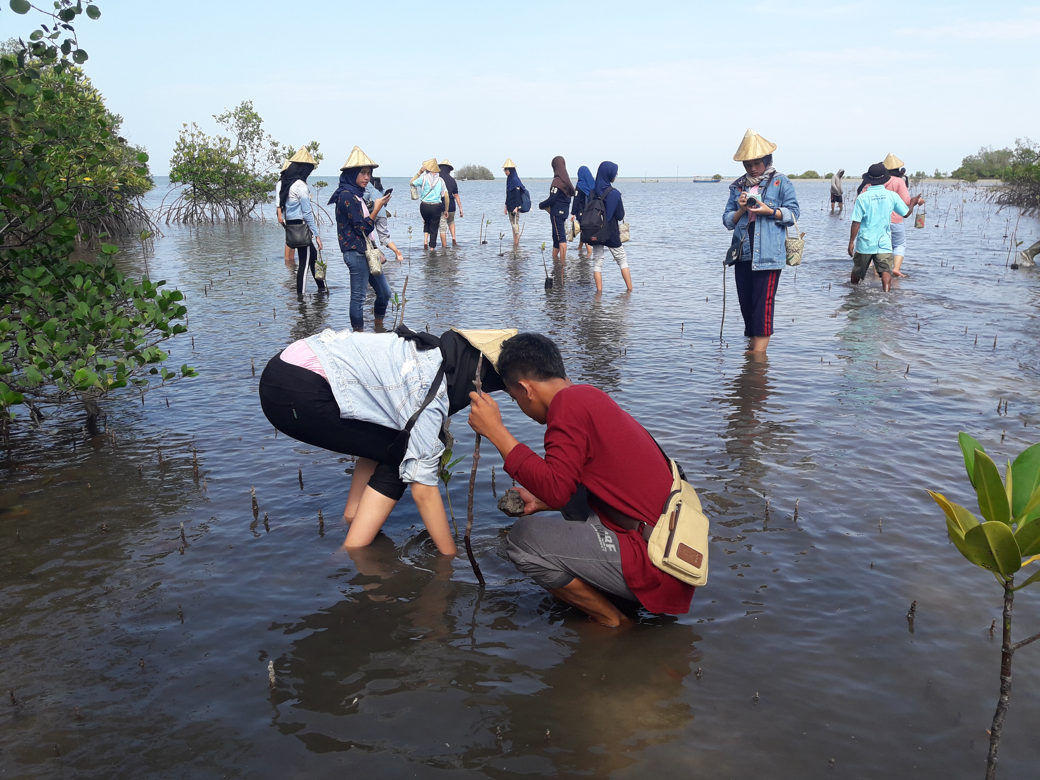 Paket Wisata Edukasi Menanam Bibit Mangrove