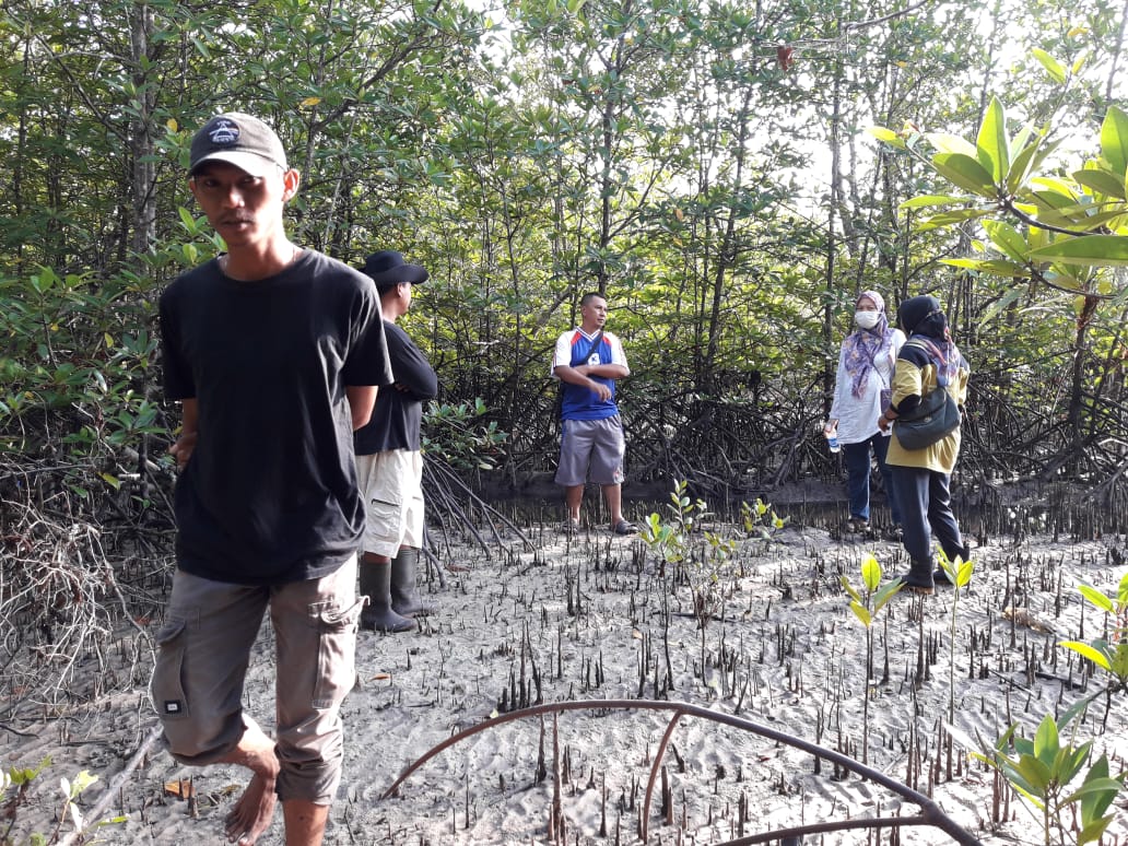 Survei Lokasi Untuk Pembesaran/Penggemukan Kepiting Bakau title=